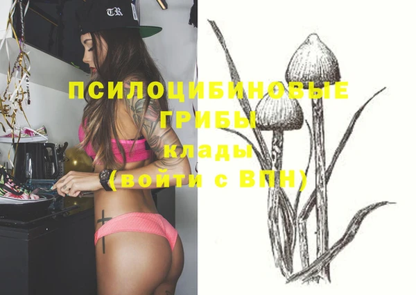 2c-b Покачи